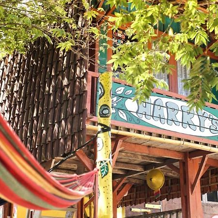 Harry'S Ocean House Watukarung Homestay Kalak Buitenkant foto