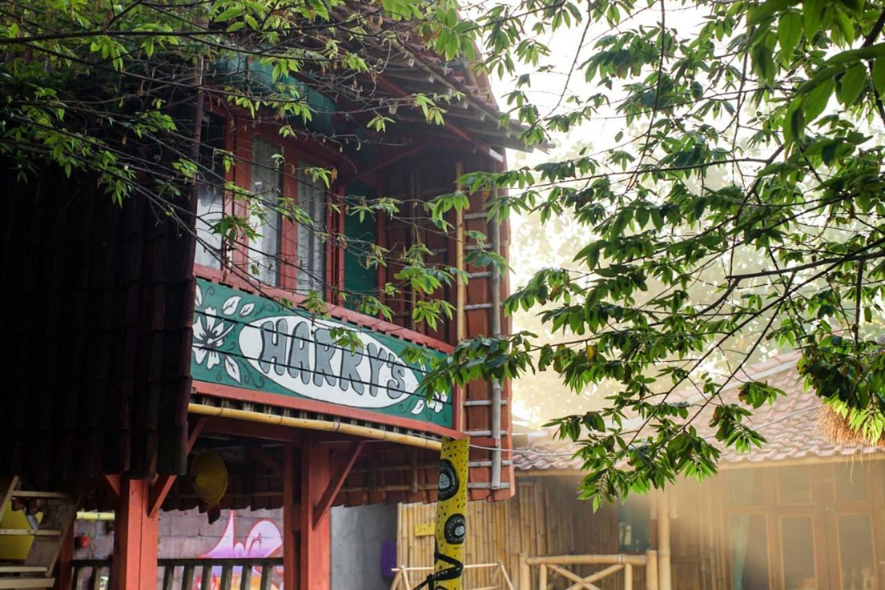 Harry'S Ocean House Watukarung Homestay Kalak Buitenkant foto