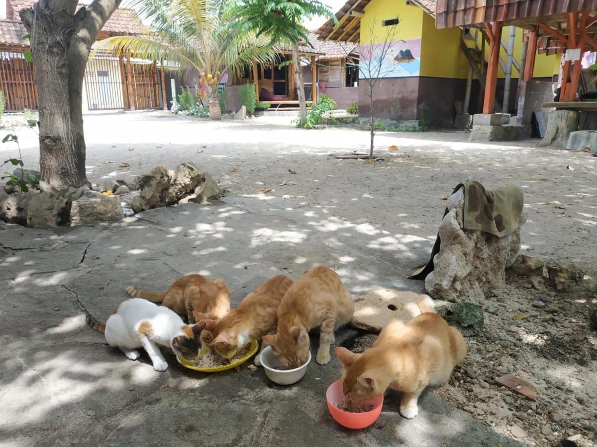 Harry'S Ocean House Watukarung Homestay Kalak Buitenkant foto